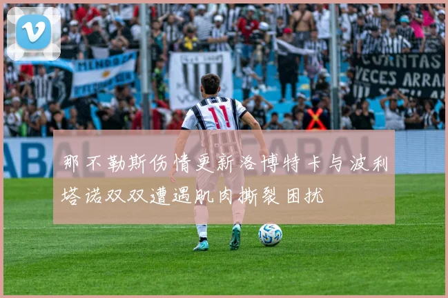那不勒斯伤情更新洛博特卡与波利塔诺双双遭遇肌肉撕裂困扰