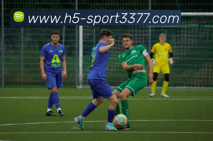 3377体育平台生态图