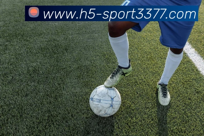 3377体育APP 封面图