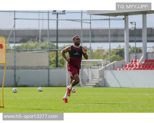 海港引进加布里埃尔无需高额转会费正积极寻求第六名外援加入 海港引进加布里埃尔无需高额转会费正积极寻求第六名外援加入